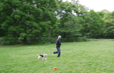 b0091373_3332569.gif