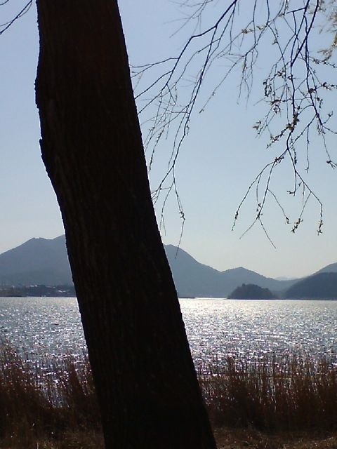 c0082573_0473277.jpg