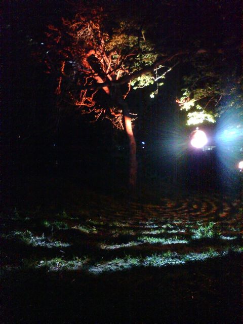 c0082573_23314221.jpg