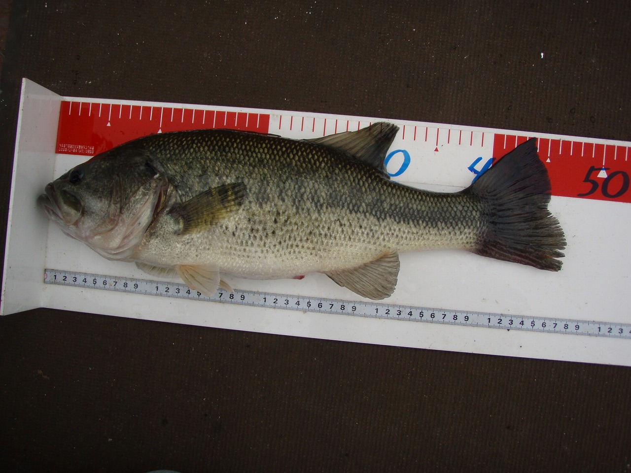 f0002573_17373094.jpg