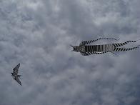 f0103873_7181044.jpg