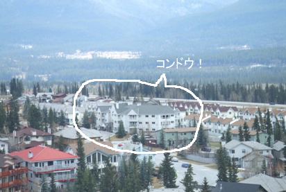 a0047577_16473150.jpg