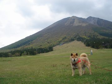 e0012580_19325656.jpg