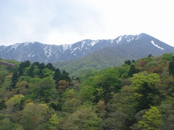 e0012580_1936717.jpg