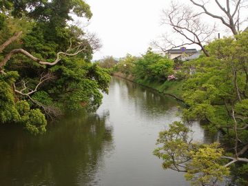e0012580_2042129.jpg
