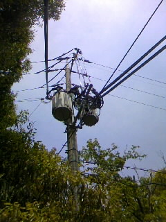 f0100480_1319179.jpg