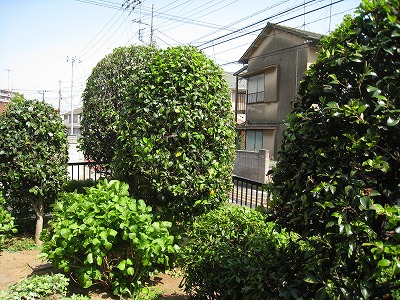 a0038882_17161030.jpg