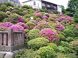 c0189683_17103719.jpg