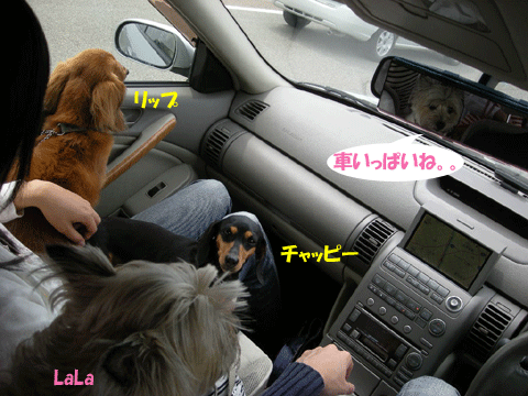 e0066883_21482565.gif