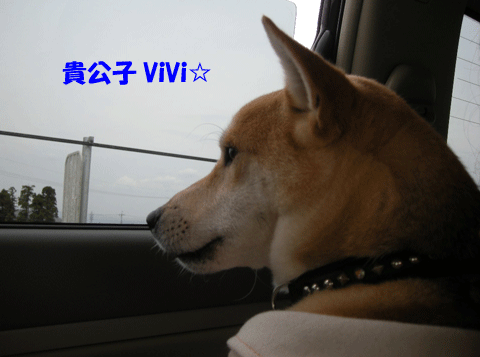 e0066883_21485118.gif