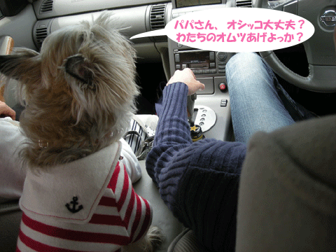 e0066883_2149282.gif