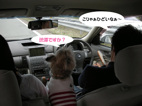 e0066883_21494424.gif