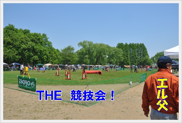 c0075585_344333.jpg