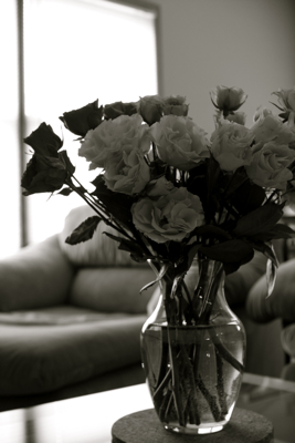 c0130986_22342829.jpg