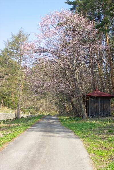 a0009887_4372932.jpg