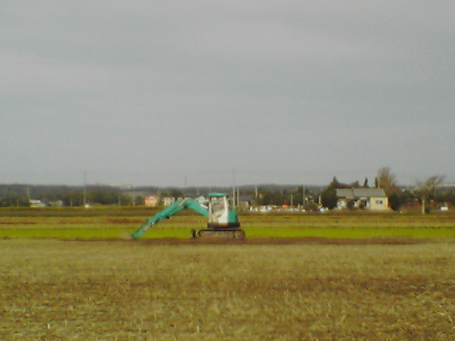 e0055087_1415145.jpg