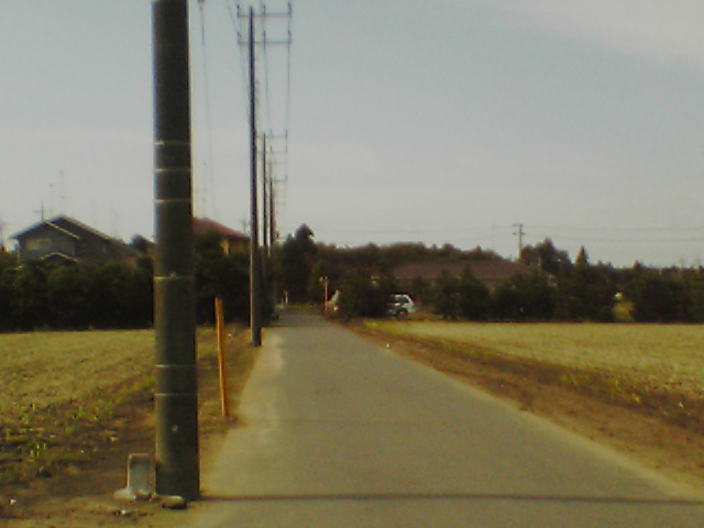 e0055087_1422046.jpg