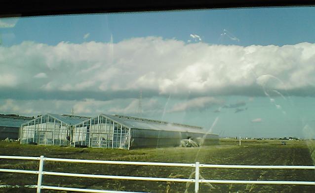 e0055087_1424951.jpg