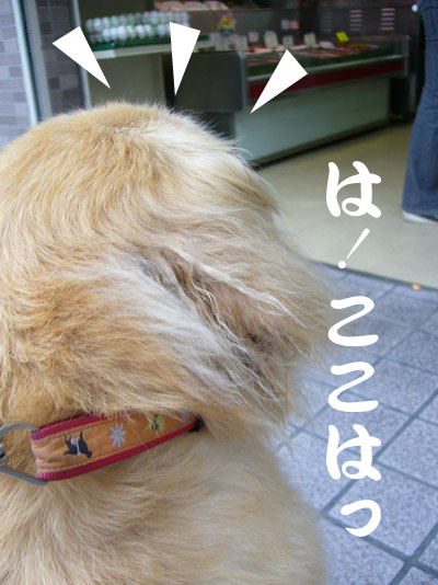 c0085188_222815.jpg