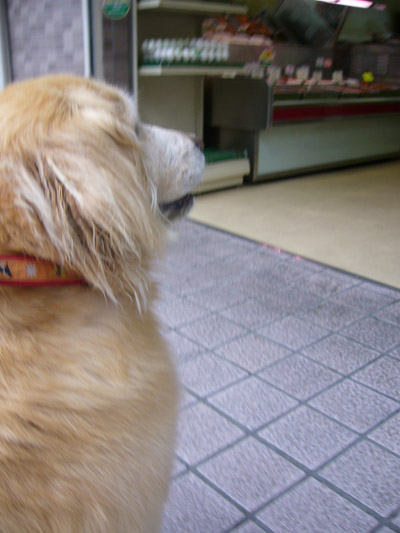 c0085188_2231775.jpg