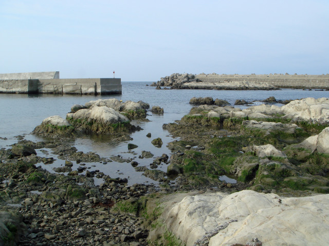 c0139388_22473118.jpg