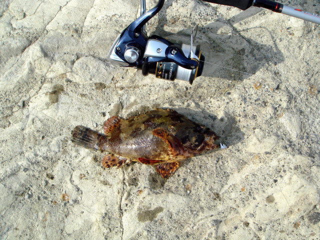 c0139388_23102378.jpg