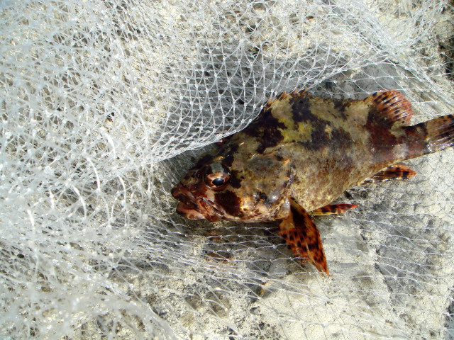c0139388_23112752.jpg