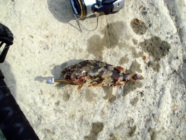 c0139388_23201483.jpg