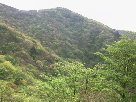 e0081989_21143126.jpg