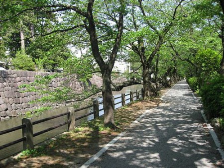 e0143690_10401223.jpg