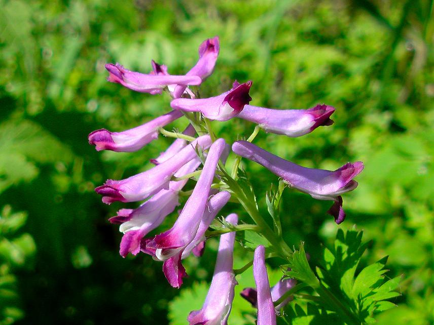 b0177493_15251151.jpg