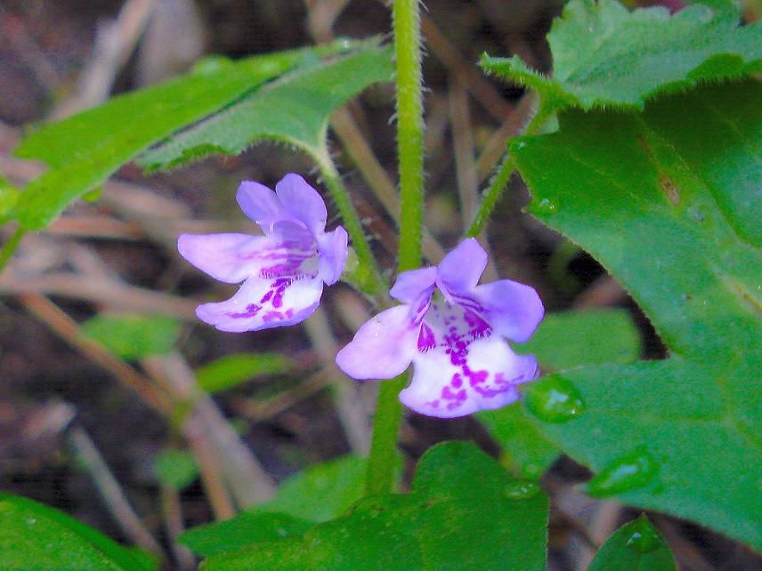 b0177493_15271143.jpg