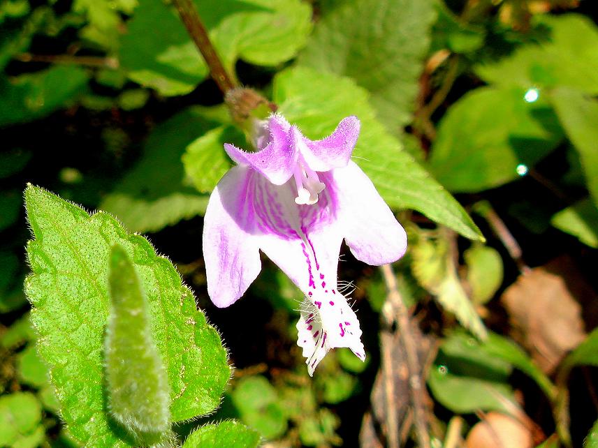 b0177493_15293670.jpg