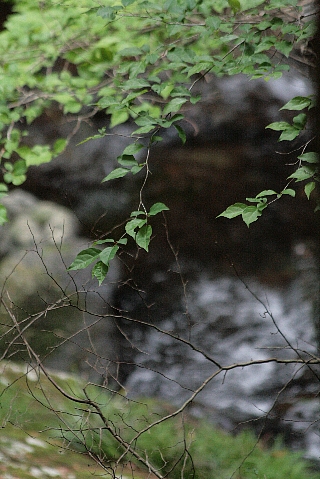 d0133693_015251.jpg