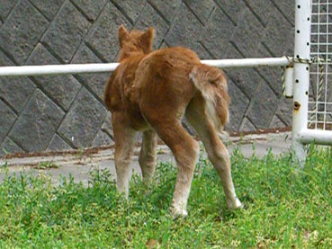 a0045697_23383614.jpg
