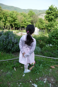 f0106597_23112022.jpg