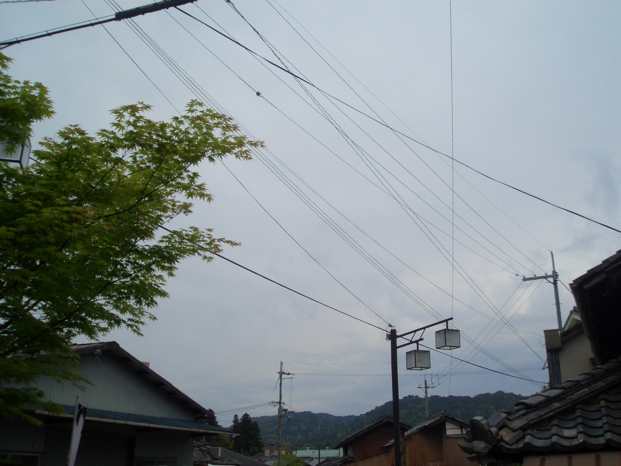 a0056898_15532769.jpg