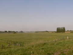 a0056401_1701879.jpg