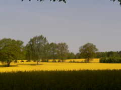 a0056401_1748386.jpg