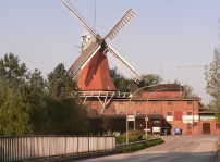 a0056401_912478.jpg