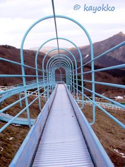 e0007801_13113929.jpg