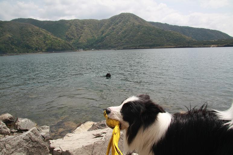 f0034602_101314100.jpg