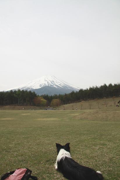f0034602_1051327.jpg
