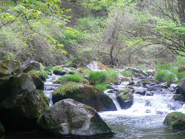 f0164503_0552845.jpg
