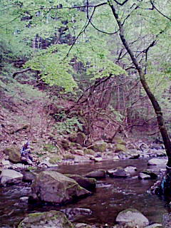 f0164503_112523.jpg