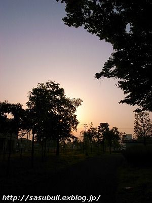 e0145805_1636932.jpg