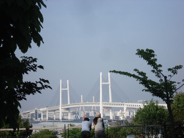 f0084806_9595843.jpg