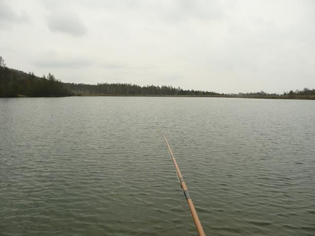 d0126708_19561694.jpg