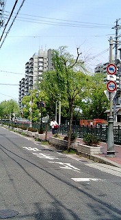 f0096508_10827100.jpg