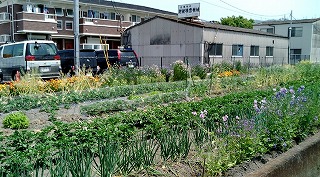 f0096508_9404789.jpg